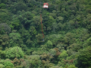 Bungee-jumping in Arenal